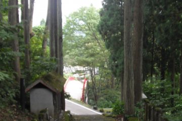 <p>Looking down the path to the bridge</p>