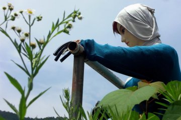 A Shirakawa scarecrow takes a break from her hard work to daydream as traffic passes by.