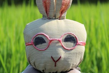 A rabbit scarecrow in Kaminada.