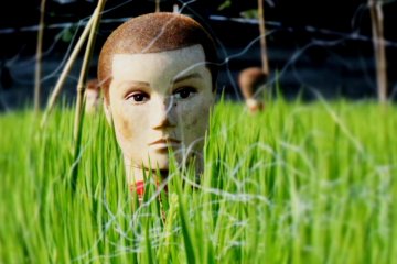 Plastic heads used by student hairdressers are recycled and used as scarecrows.  Nets and plastic garbage bags on poles mimicking crows may serve an additional purpose, but the red paint on the dolls' necks does not.