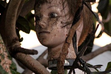 The trend is evident in Masaki too, where the plastic heads can be found in loquat trees.