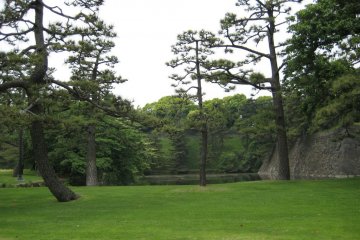 Beautiful green grounds