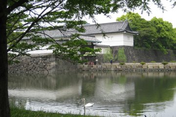 View of palace reflecting off the water