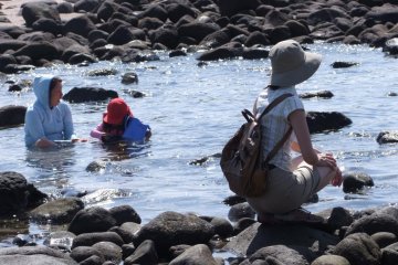 A mom and her daughter wallowing in the water, and an onlooker perched on a rock