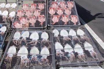 Squid and fish drying in the sun