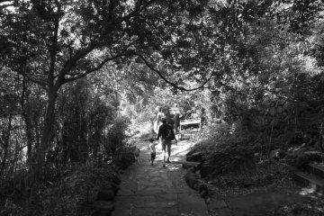 Father and son walking down to the beach through the trees