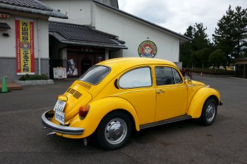Professor Agasa's yellow beetle