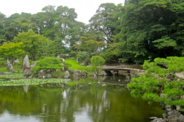 Le jardin Genkyu-en de Hikone