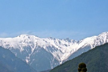 Senjojiki from afar, April