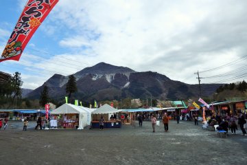 A variety of food stalls were set up within the park to accommodate visitors. 
