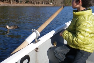 Rental row boat. You can feed carp and ducks. Buy feed from a vending machine for ¥100