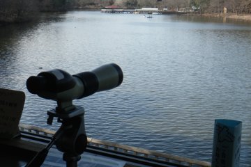 Bird watching at Torimi-tei Visitor Center - binoculars provided
