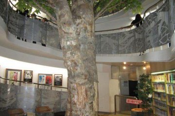 The tree room. Follow the spiral sidewalk up and up.