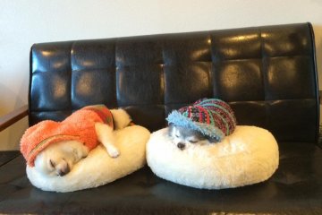 Sleepy time