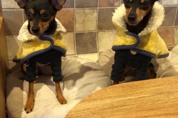 Twins!