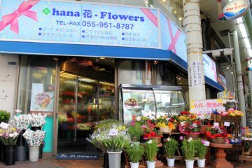 A shop of fresh and preserved flowers greeted us upon the entrance