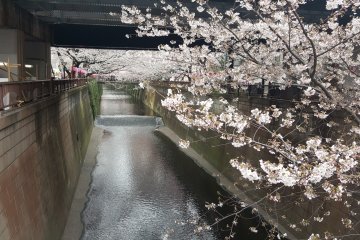 Under the train tracks