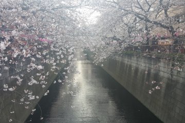The whole area was like something out of a drama/anime