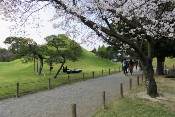 Festival Sakura Suizenji
