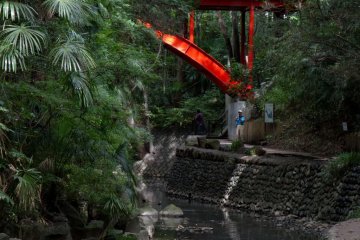 The Beauty of Todoroki Valley