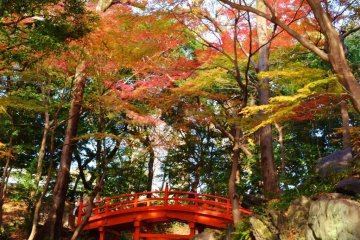<p>Jembatan Jepang merah</p>
