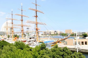 Peter Pan, Help! Captain Hook's coming to Yokohama!