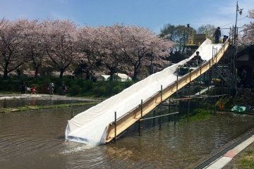 Nanohana Matsuri