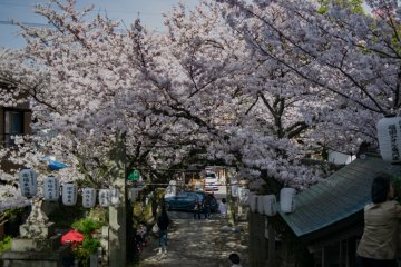 Yakimochi is sold on the lefthand side of the shrine grounds