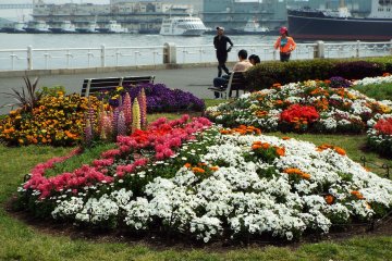 Yamashita Park - With view of bay