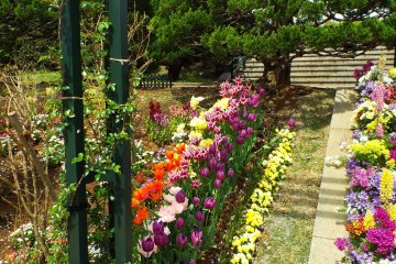 Harbor View Park - Near the fountain