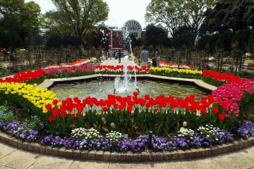 Harbor view Park - Fountain