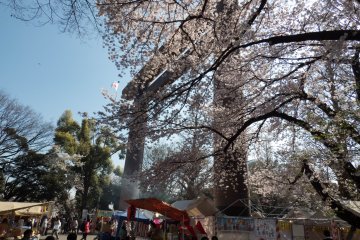 The colorful main torii, (gate) marks the entrance to Yasukuni Shrine