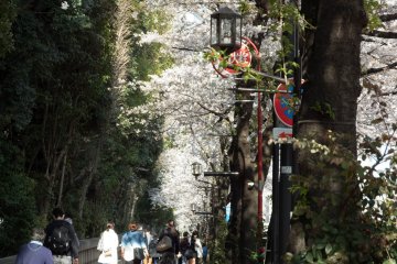A view of Yasukuni Dori, the street leading up to this shrine