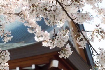 A close-up of the roof 