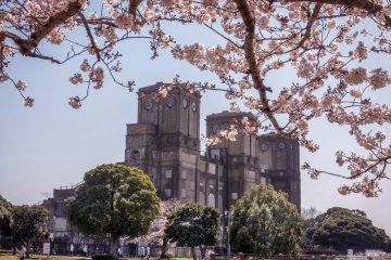 With plenty of wide open spaces, Yokohama Negishi Forest Park is a great place get away from it all