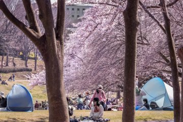 Although during the weekends you may see a large number of people I have always been able to find somewhere to sit down and relax 