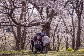 Compared to other more famous tourist spots this park is visited by mainly local residents making it a good location for families