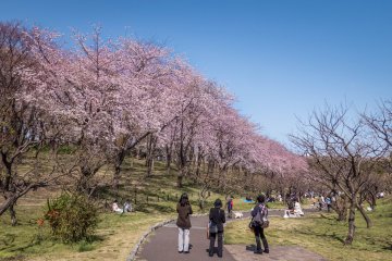 Some people admiring the colorful sights