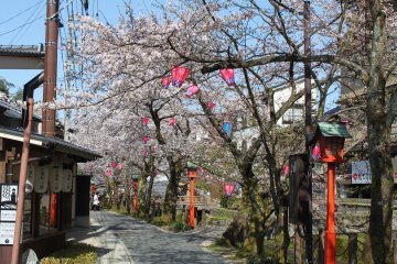 The streets really liven up during key seasons such as the spring cherry blossom season and autumn leaves season