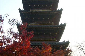 The pagoda, visible from outside the zoo, but you can get nearer inside