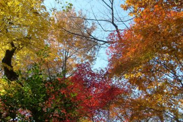Later in the fall, you`re more likely to have clear skies to enhance the view