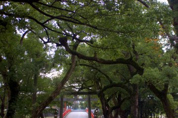 Haraigawa-bashi as seen from within the shrine grounds