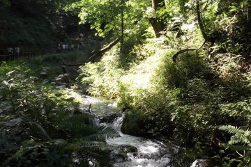 <p>A path runs up alongside the brook from the car park and shops to the falls</p>
