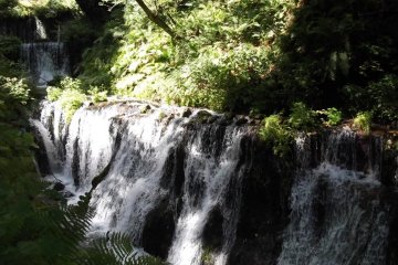 <p>There are some little cascades towards the top of the path</p>