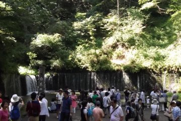 <p>I wasn't the only one taking pictures</p>