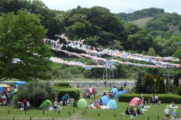 The festival is a perfect place to picnic with your family.