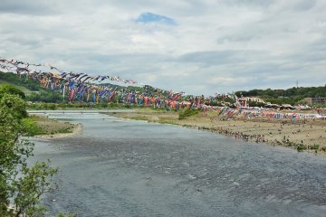 The festival runs from April 29 to May 5.