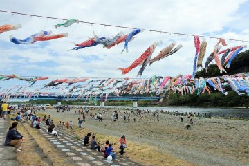 Learn more at http://www.oyoge-koinobori.com