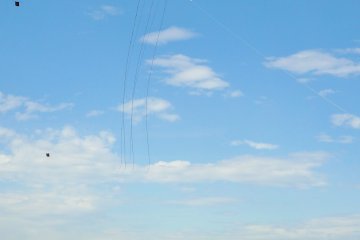 On May 4-5, Sagamihara also holds its 'Giant Kite Festival' nearby.