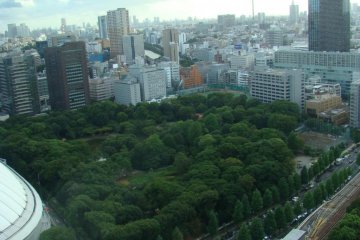 Looking down at the garden from the  Bunkyo Civic Center Observatory